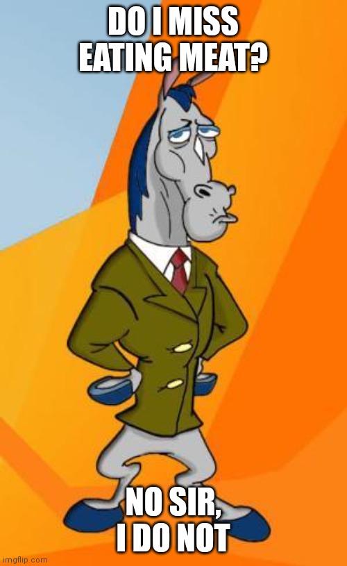 No sir Mr. Horse Imgflip