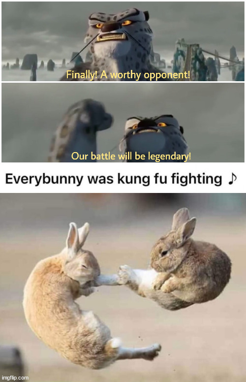 Image tagged in our battle will be legendary,bunny Imgflip