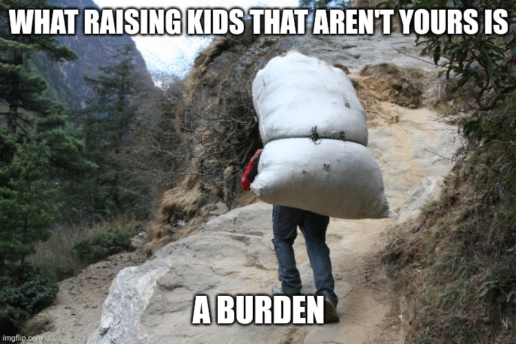 Raising kids that aren't yours Imgflip