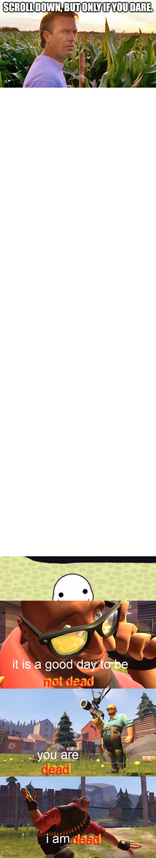 Image tagged in field of dreams,memes,blank transparent square,boss