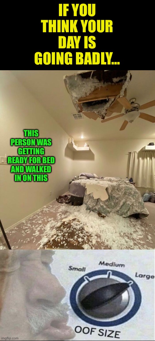 Sleep On The Couch Meme at Robert Mccoy blog