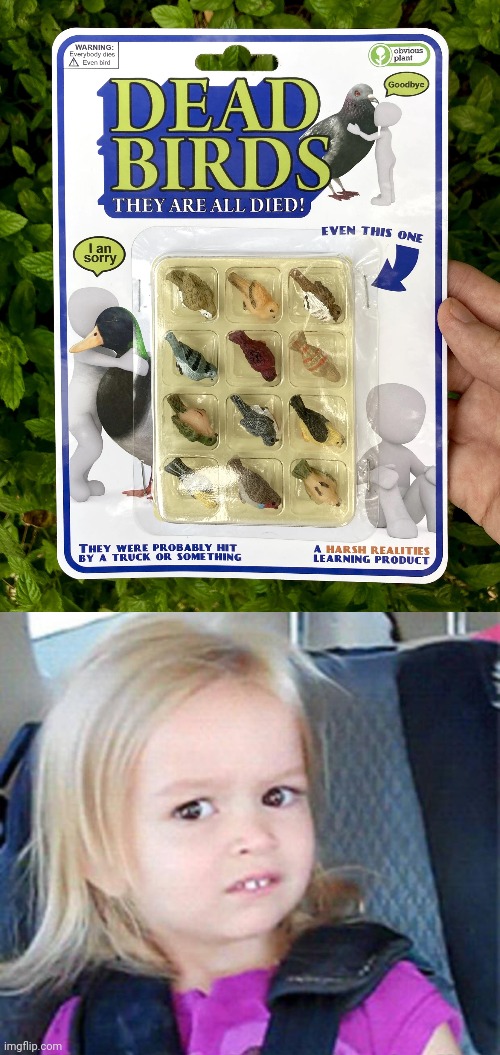 "THEY ARE ALL DIED" Imgflip