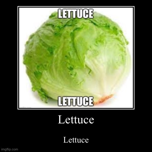 Lettuce Imgflip