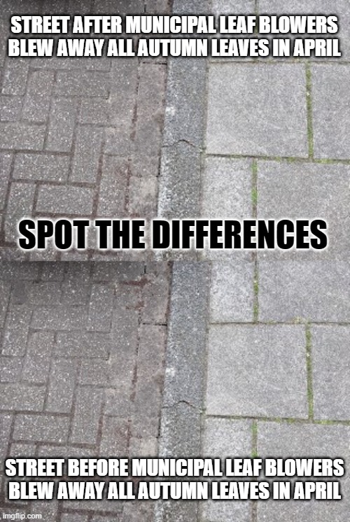 Spot the differences Imgflip