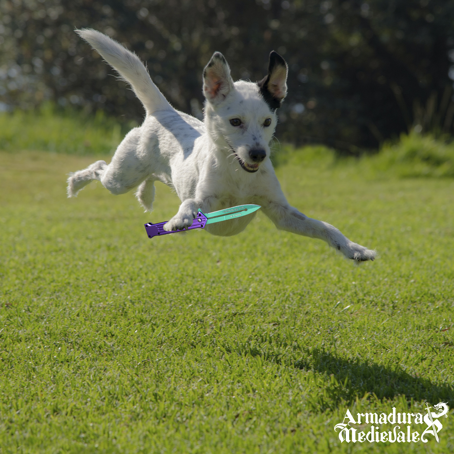 Knife Dog Blank Template Imgflip