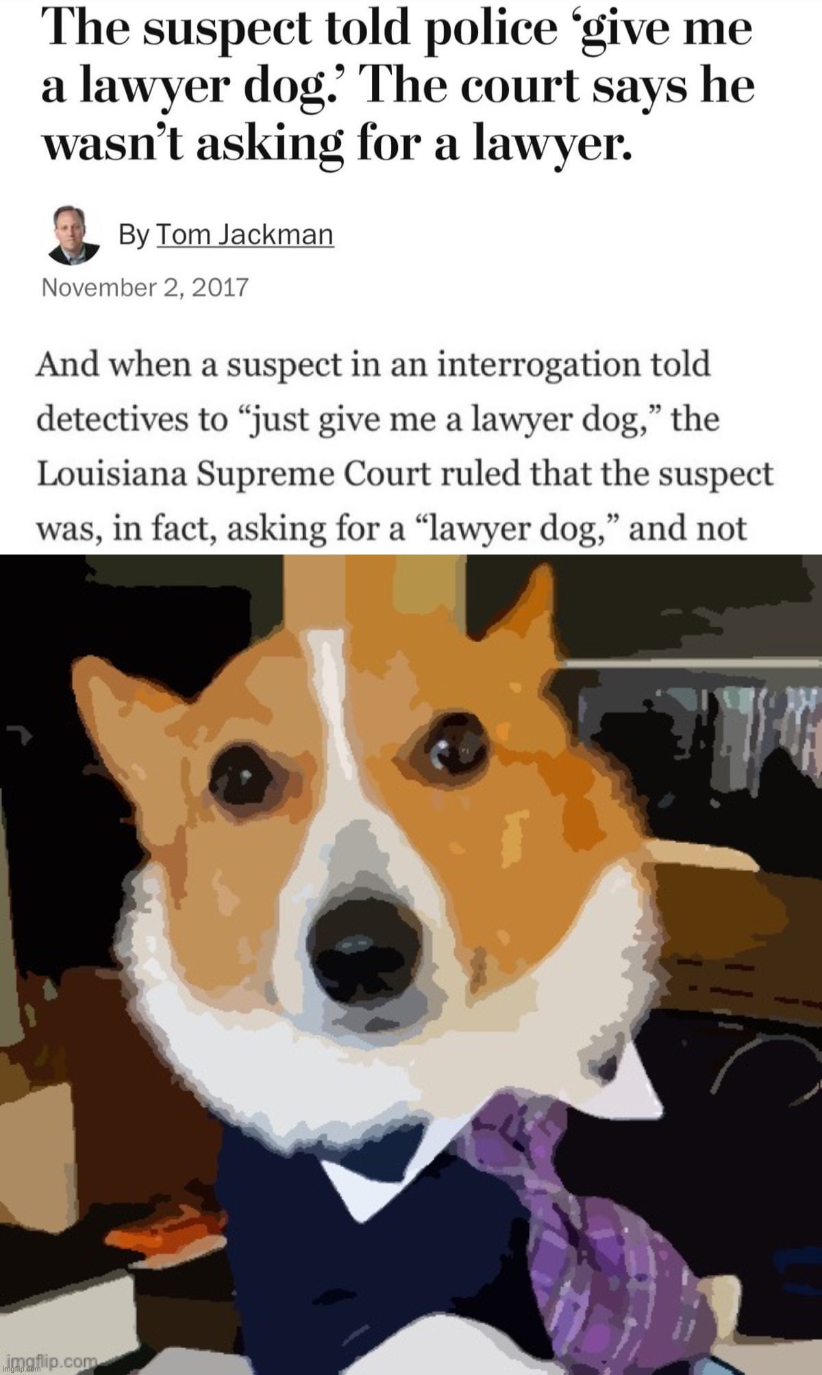 Image tagged in give me a lawyer dog,lawyer dog posterized Imgflip