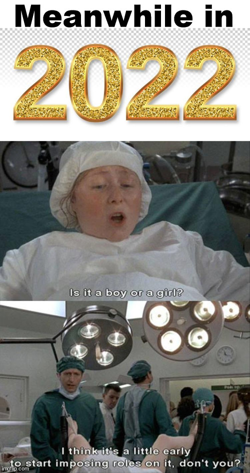 Image tagged in 2022,political meme Imgflip