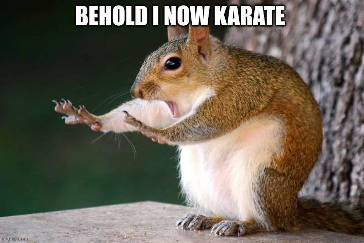 I know Karate Imgflip