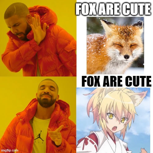 foxes are cute Imgflip