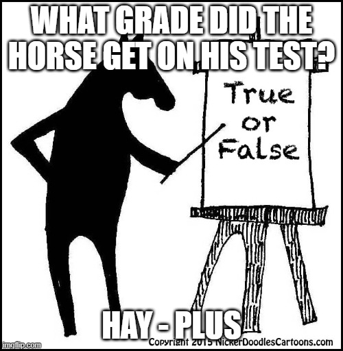 KENTUCKY DERBY KENTUCKY DERBY Jeopardy Template