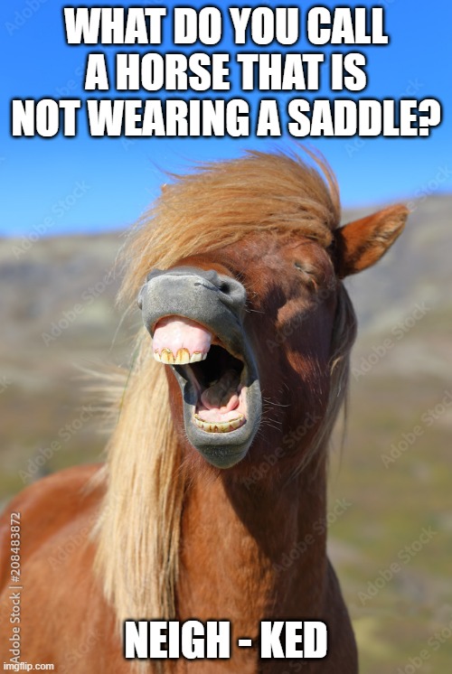 KENTUCKY DERBY KENTUCKY DERBY Jeopardy Template