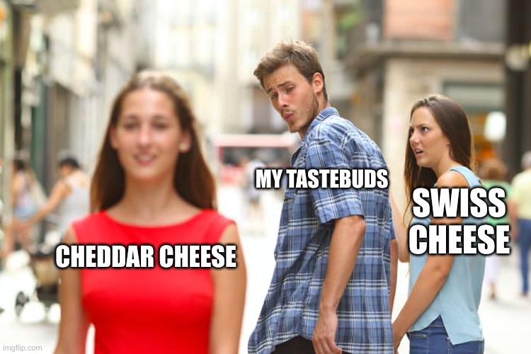 Cheddar Cheese Is Better Than Swiss Imgflip