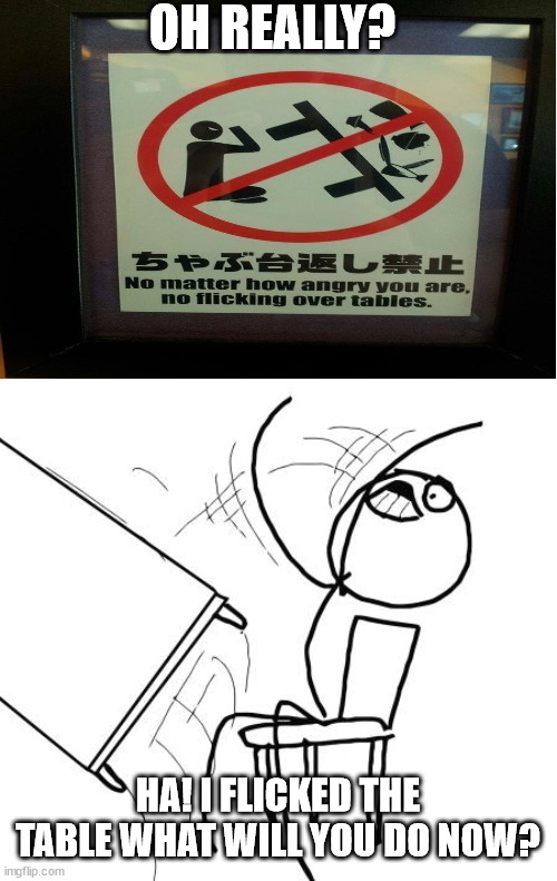 Table Flip Guy Meme Imgflip