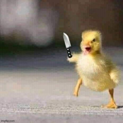 aww oh no he got a knife Imgflip