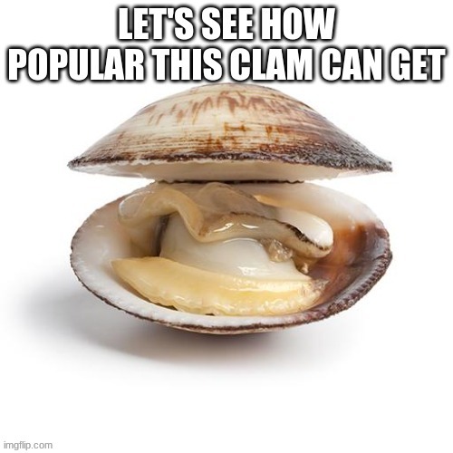 clam Memes & GIFs Imgflip