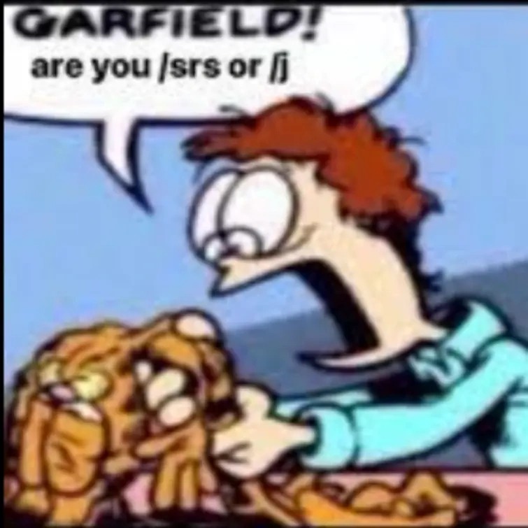 Garfield are you /srs or /j Meme Generator - Imgflip