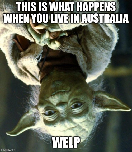 Star Wars Yoda Meme Imgflip