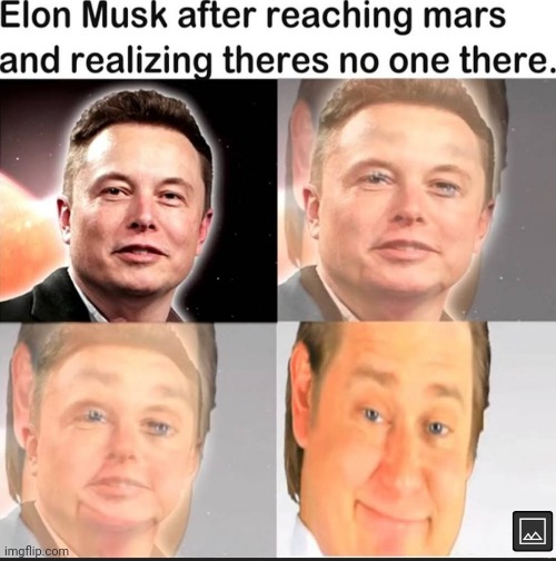 Image tagged in elon musk,it's free real estate,mars Imgflip