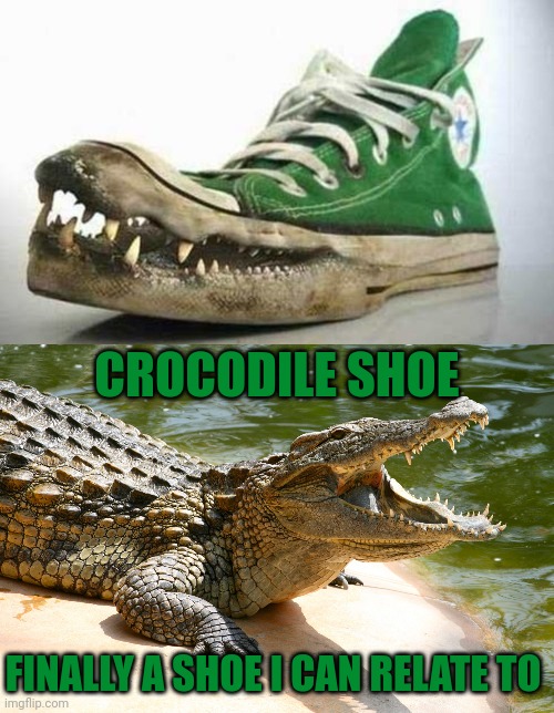 Crocodile shoe Imgflip