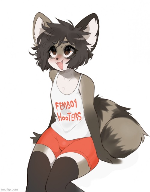 Femboy_furries_sream Memes & GIFs - Imgflip