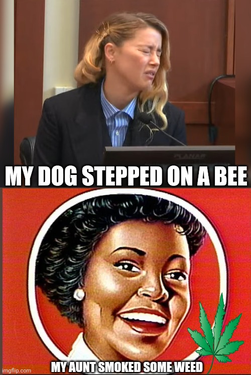 Amber Heard Dog Stepped on a Bee Imgflip