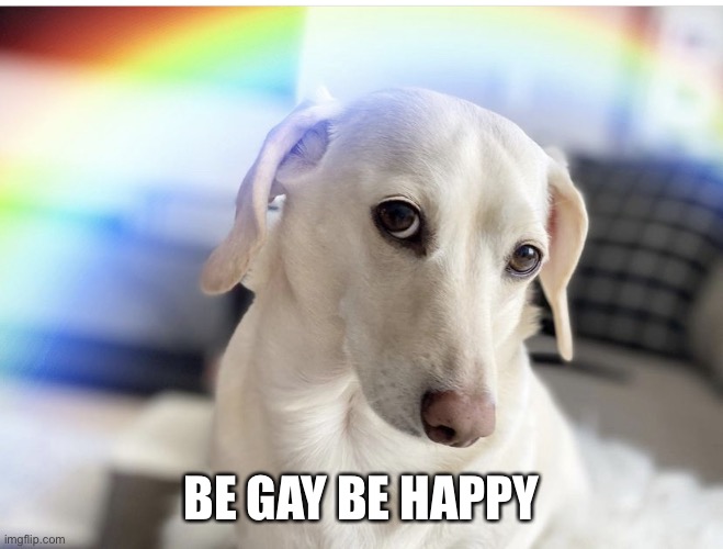 Be Gay be happy and happy pride month! Imgflip