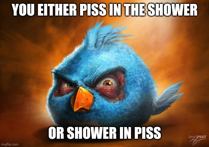 Realistic Blue Angry Bird Imgflip