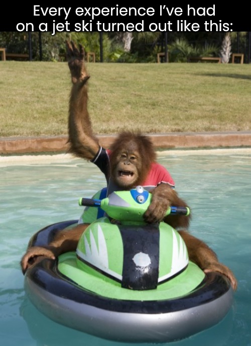 Image tagged in fake Imgflip