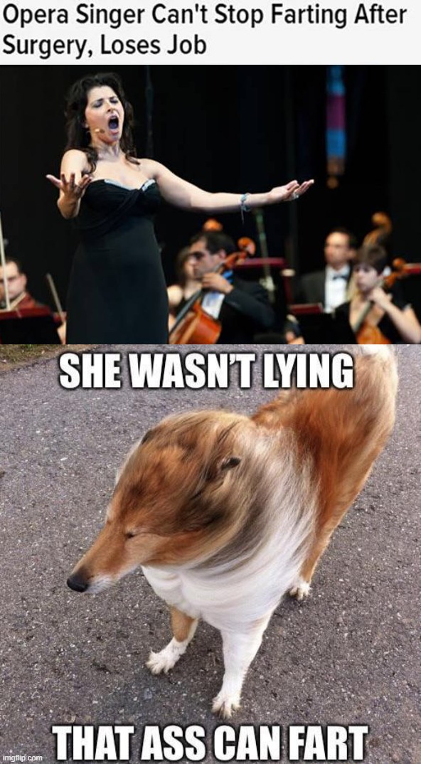 Image tagged in she wasn't lying Imgflip