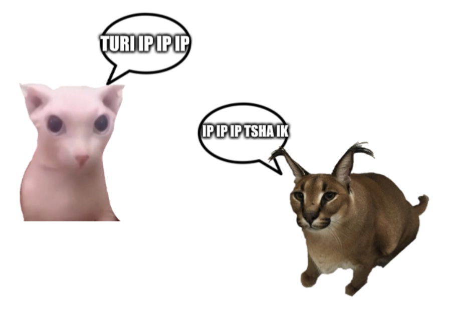 Floppa and bingus sing Blank Template Imgflip