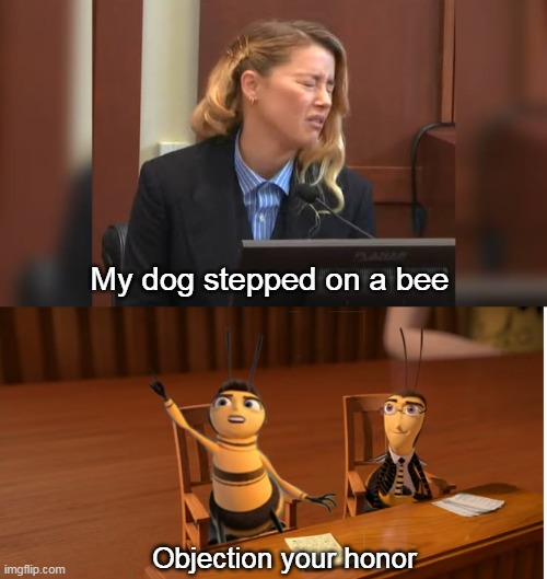 Image tagged in memes,funny,my dog stepped on a bee Imgflip