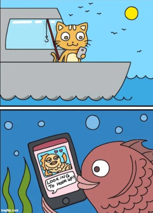 Image tagged in catfish Imgflip