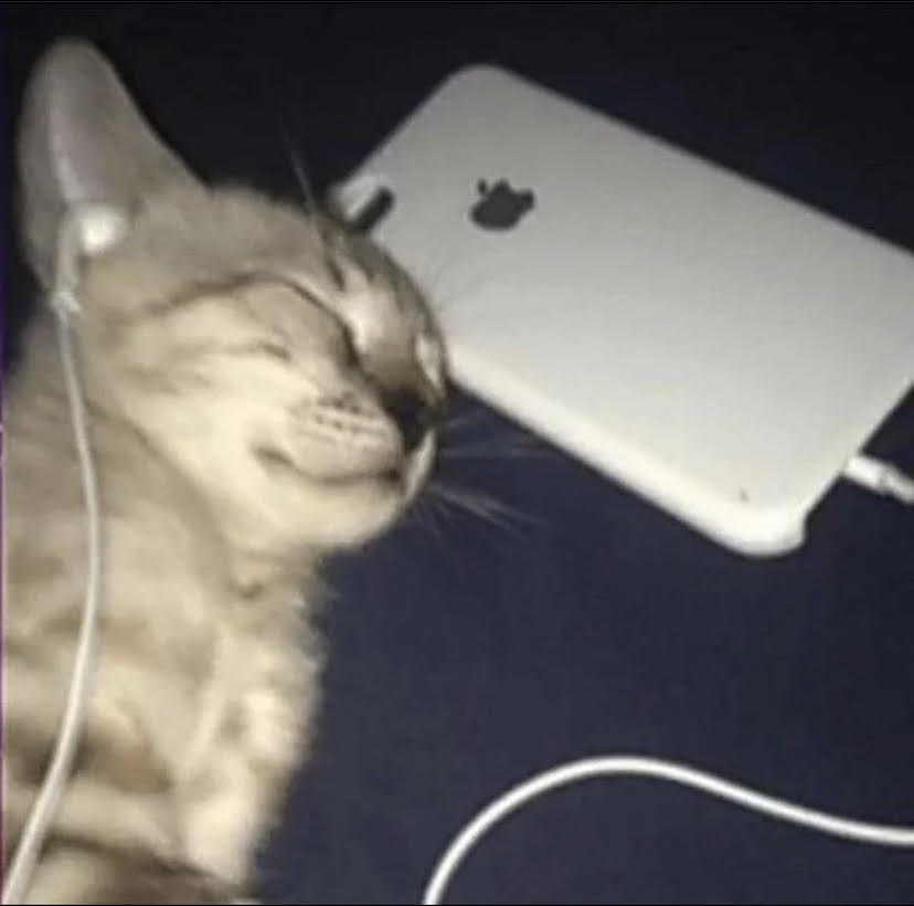 Cat listening to music Memes Imgflip