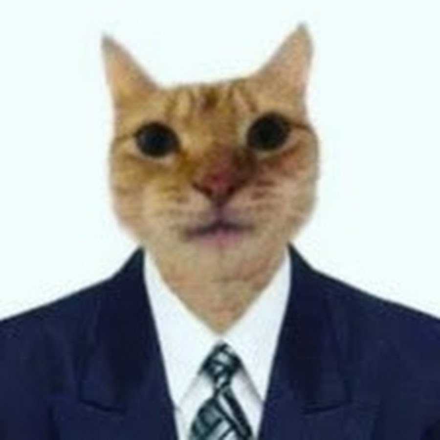 cat in suit Blank Template Imgflip