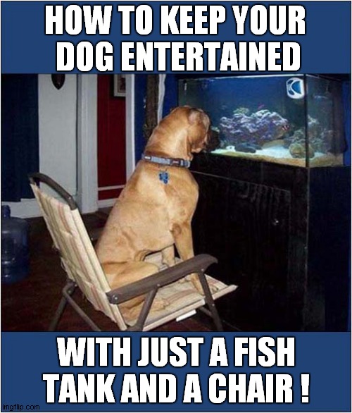 Most Fascinating ! Imgflip