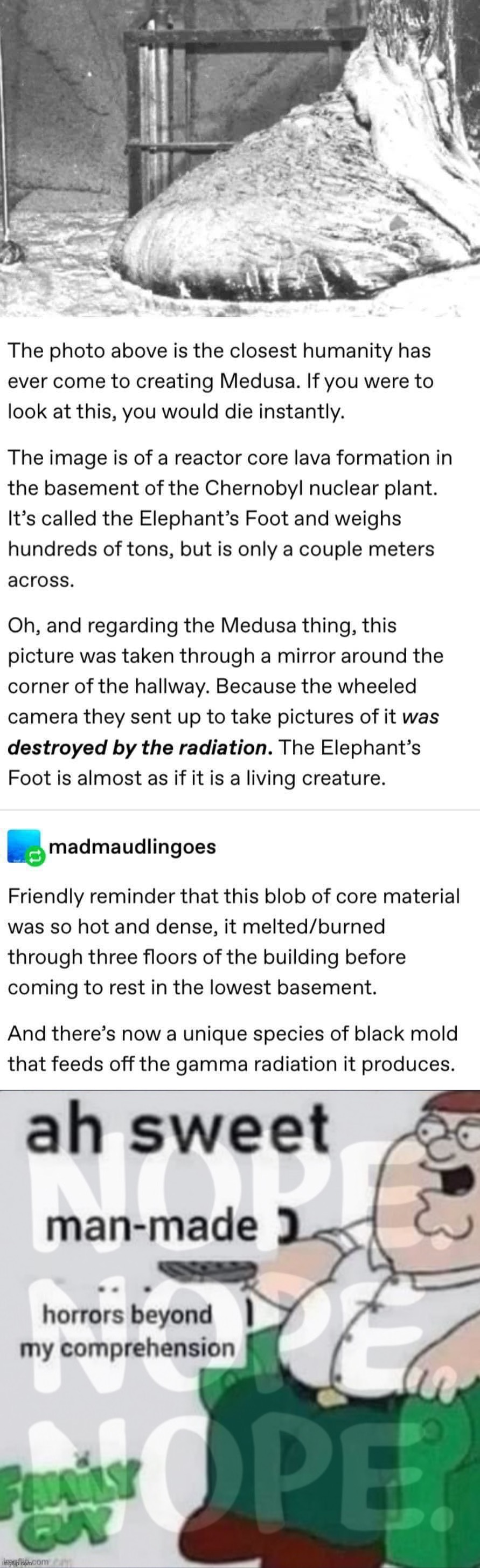 Image tagged in elephant s foot,ah sweet manmade horrors plus nopes Imgflip