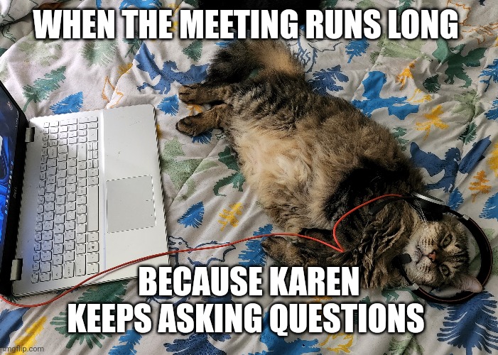 Work meeting cat Imgflip