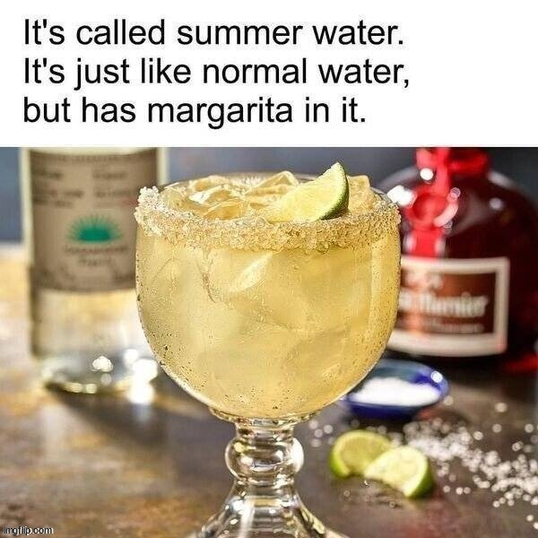 Image tagged in margarita Imgflip