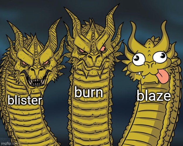 blister burn and bLaZe a sandwing sandwich Imgflip