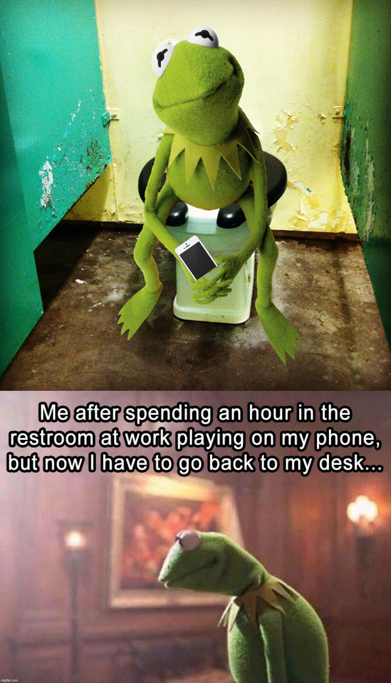 Image tagged in kermit public toilet Imgflip