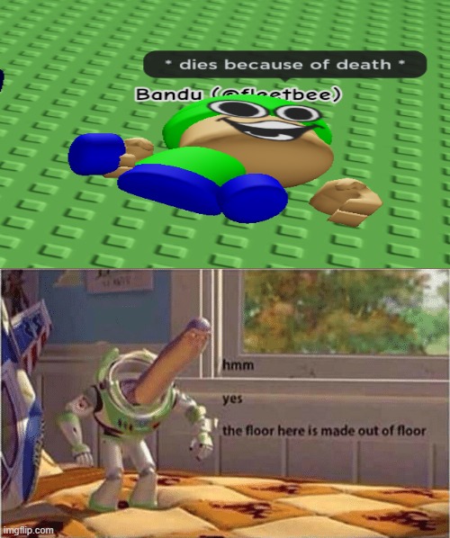 hmm yes the floor here is made out of floor Imgflip