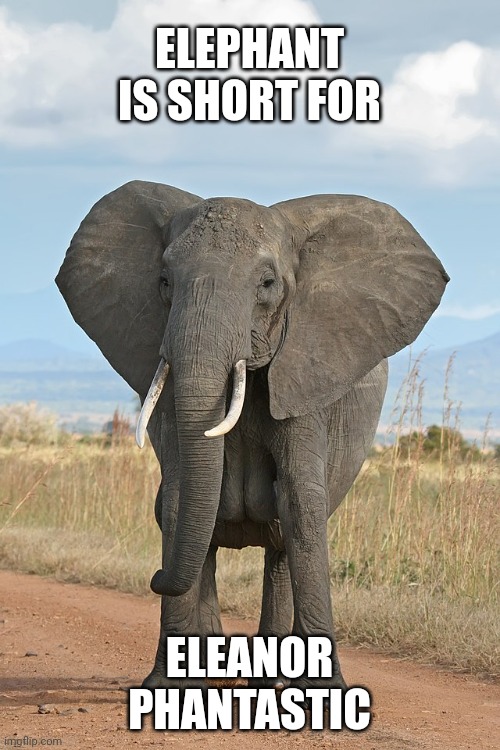 Elephant is short for Imgflip