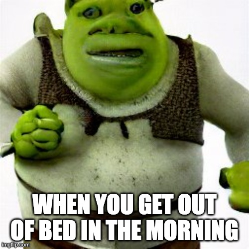 Shrek In The Morning Imgflip