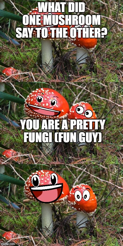 mushroom joke Imgflip