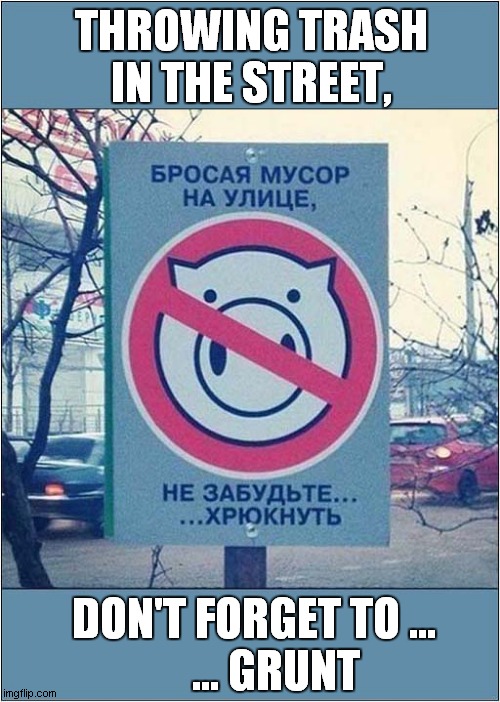 A Curious Sign From Russia ! Imgflip
