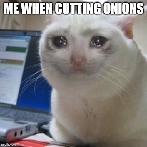 Crying cat Imgflip