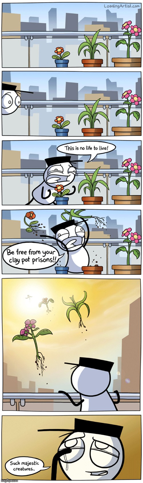 Plants Imgflip