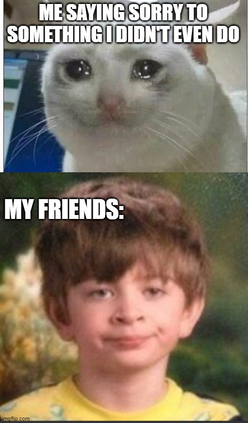 Image tagged in crying cat,sorry Imgflip