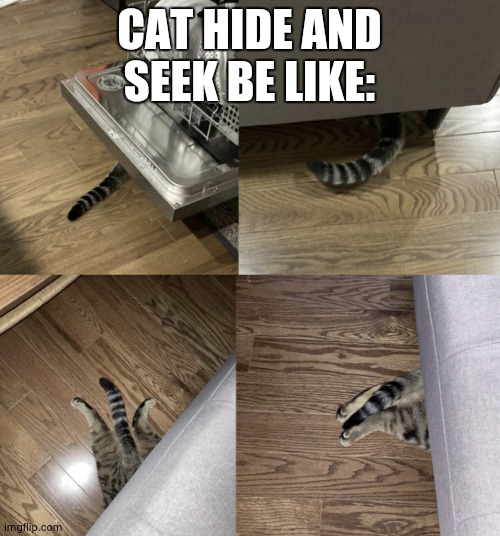 Image tagged in cat stealth mode Imgflip
