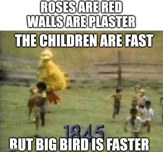 Image tagged in big bird Imgflip